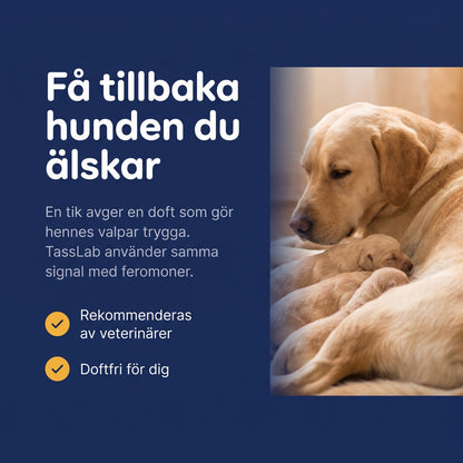 TassLab Lugnande Feromon Doftavgivare